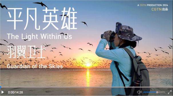 QQ20240925-171541.png
